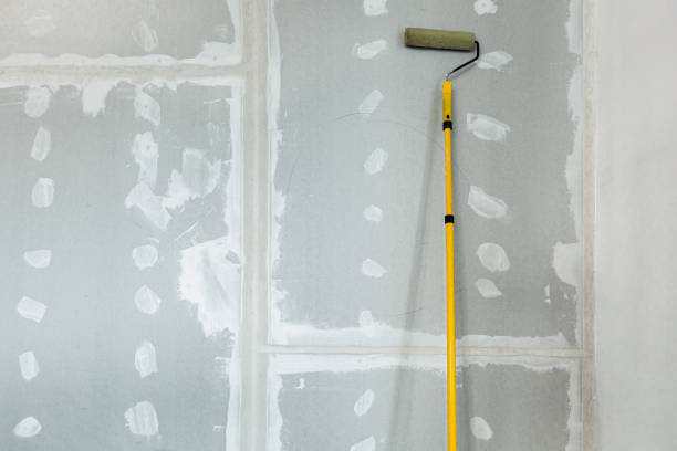 Professional Drywall & Painting Services in Stallion Springs, CA